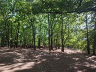 hřiště na Okrouhlíku, autor: Andrea Kylarová